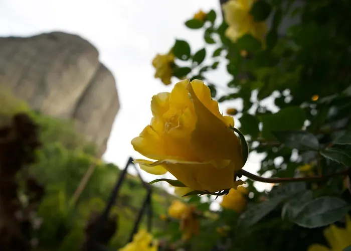 Pensión Batalogianni